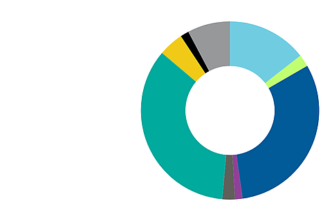 Case types pie chart
